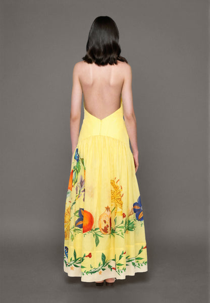 Halter Neckline Maxi Dress
