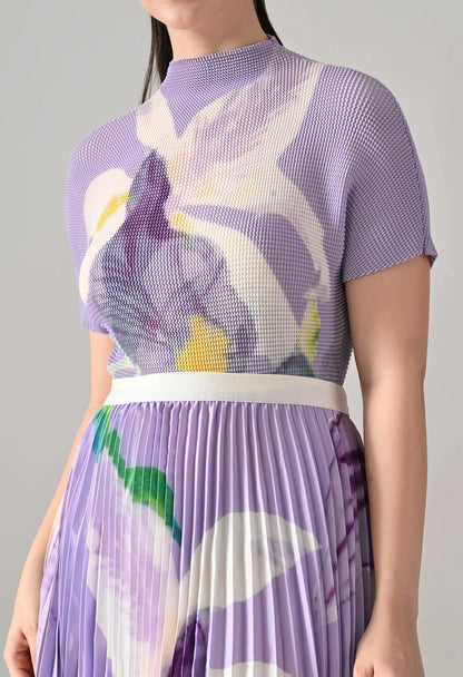 Chromatic Printed Pleated Two Piece Set