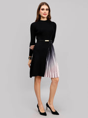 Winter Ribbed Pleated Dress