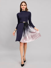 Winter Ribbed Pleated Dress