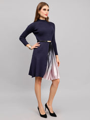 Winter Ribbed Pleated Dress