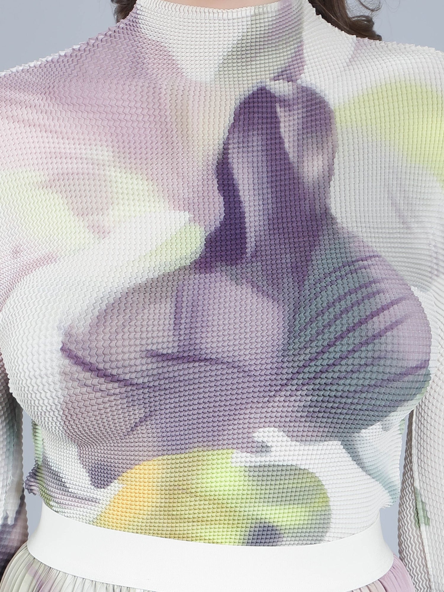 Chromatic Printed Pleated Two Piece Set