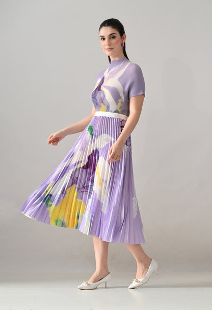 Chromatic Printed Pleated Two Piece Set
