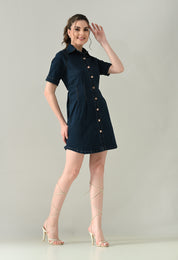 Contour Denim Button-Down Dress