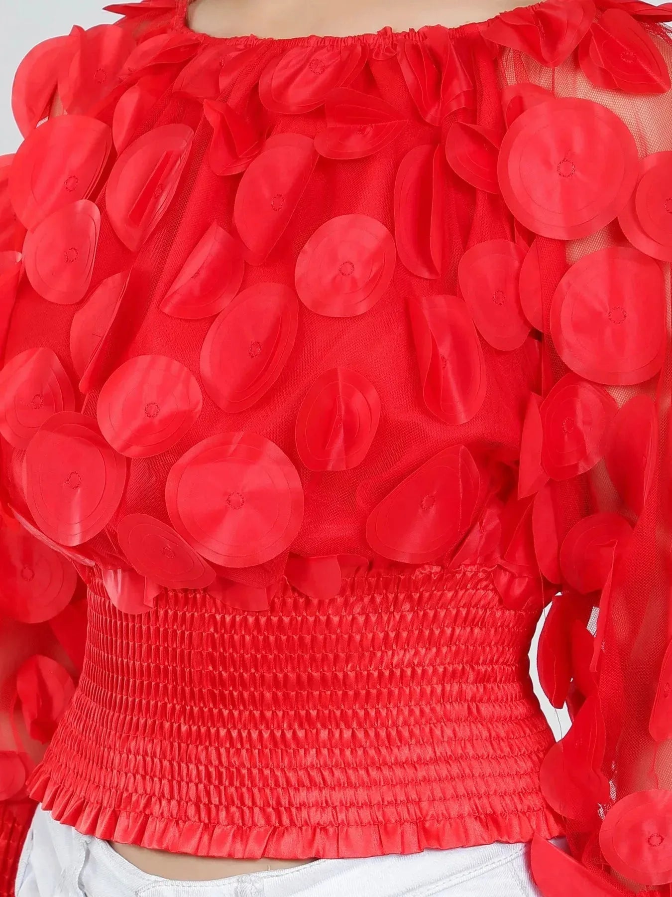 Lantern Sleeve Mesh Ruched Blouse