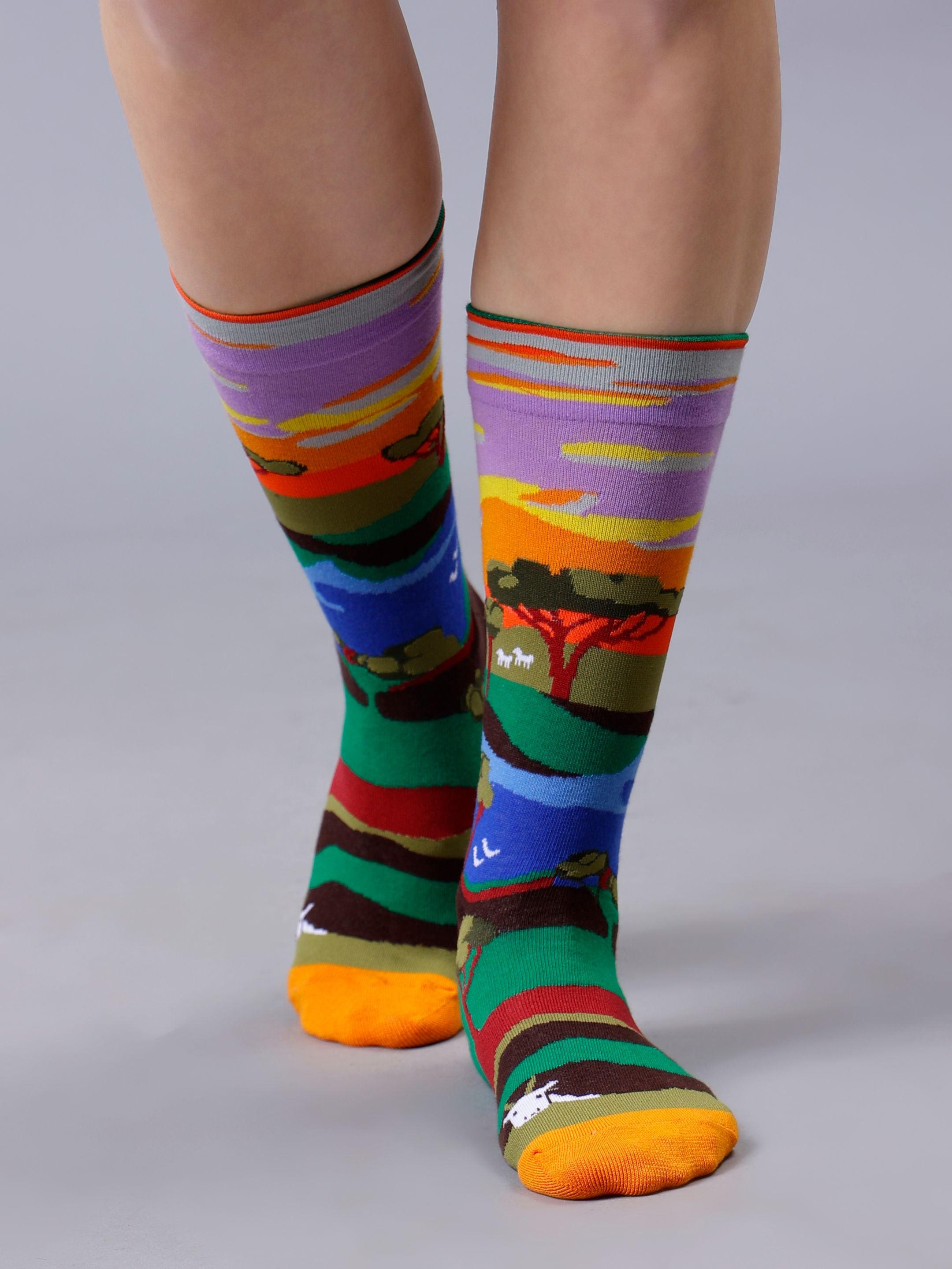 Cotton Printed Socks